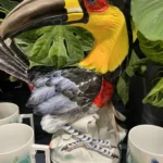 Kein Schnäppchen – oder vielleicht doch?