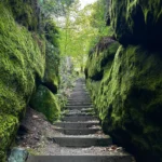 Quelle: <a href="https://www.komoot.com/de-de/highlight/6585919"target="_blank" rel="noopener"> Treppenstufen zum Obrigensteig </a>