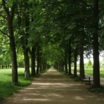 Wer Schatten und gute Luft sucht, ist hier genau richtig