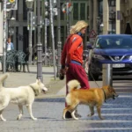 Gassi gehen am Sonntagmorgen