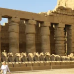 Der Widder als Symbolträger für Fruchtbarkeit, Männlichkeit und Schöpferkraft